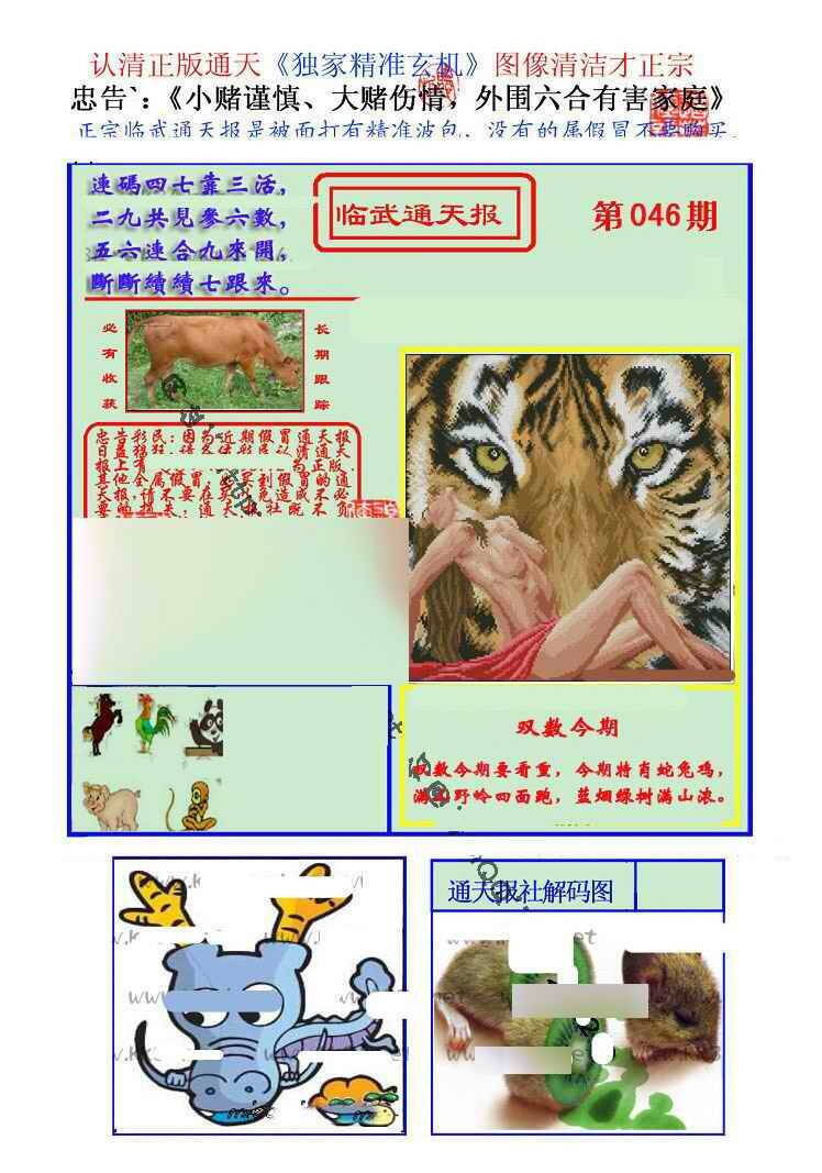 港彩图库 2026 临武通天报