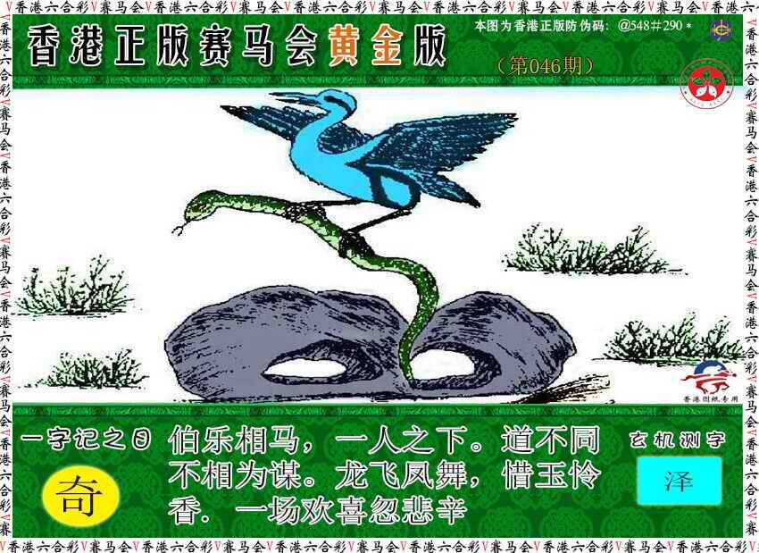 港彩图库 2026 赛马会黄金版