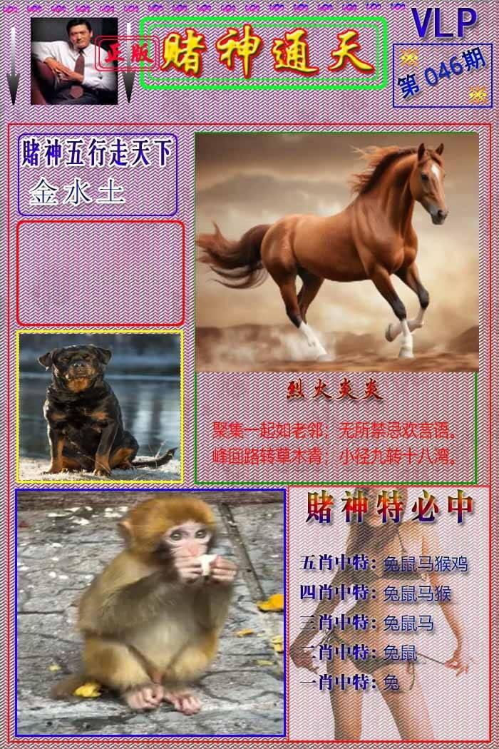 港彩图库 2026 赌神通天报
