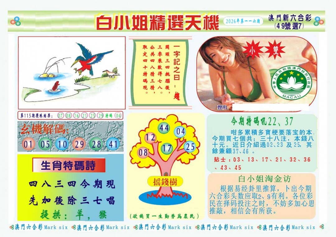 澳彩图库 2026 白小姐精选玄机A