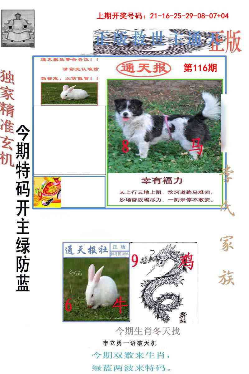澳彩图库 2026 李力勇通天报