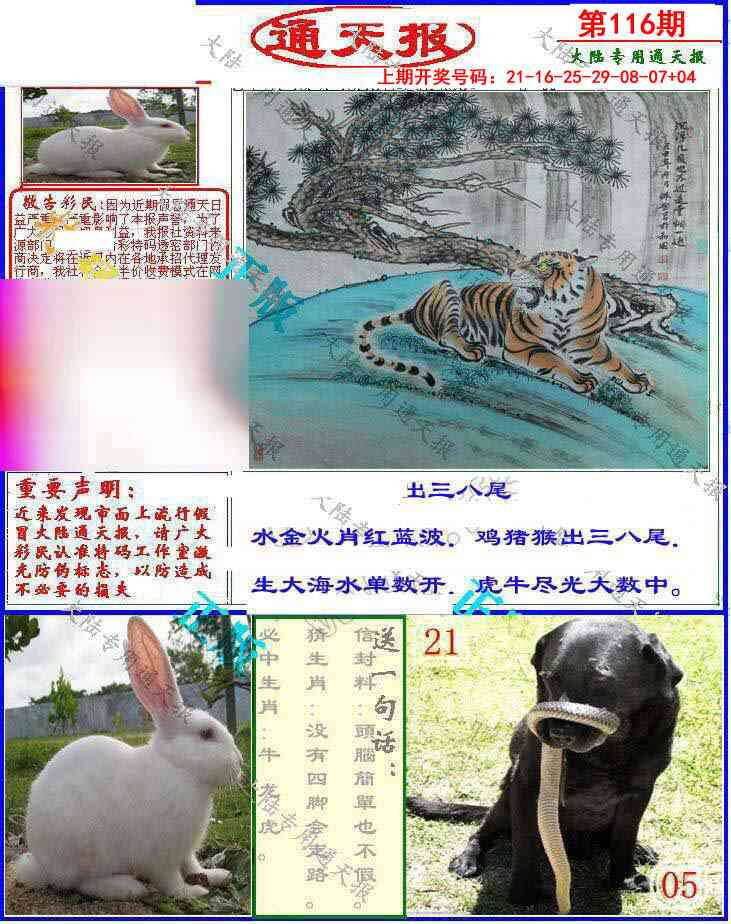 澳彩图库 2026 大陆通天报